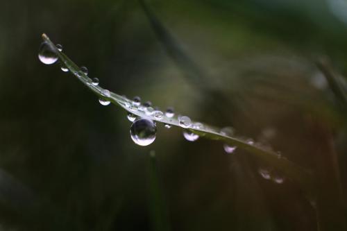 darktable exported-12 02